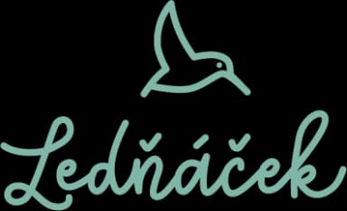 Ledňáček